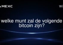 welke munt zal de volgende bitcoin zijn?