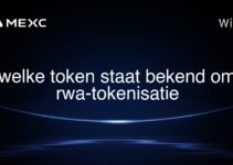 welke token staat bekend om rwa-tokenisatie