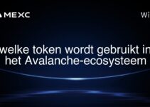 welke token wordt gebruikt in het Avalanche-ecosysteem