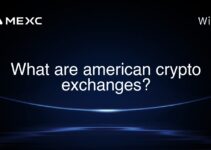 What are american crypto exchanges?