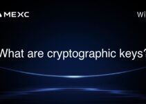 What are cryptographic keys?