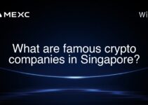 What are famous crypto companies in Singapore?