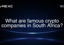 What are famous crypto companies in South Africa?