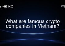 What are famous crypto companies in Vietnam?