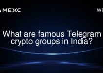 What are famous Telegram crypto groups in India?