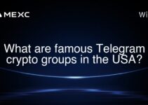 What are famous Telegram crypto groups in the USA?