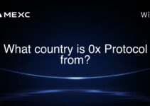 What country is 0x Protocol from?