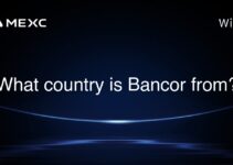 What country is Bancor from?