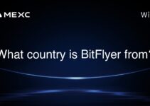 What country is BitFlyer from?