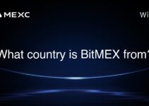 What country is BitMEX from?