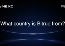 What country is Bitrue from?