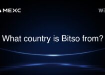 What country is Bitso from?
