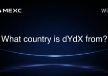 What country is dYdX from?