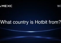 What country is Hotbit from?