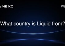 What country is Liquid from?