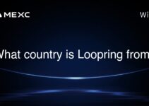 What country is Loopring from?