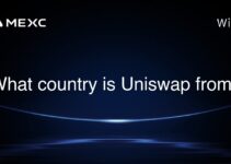 What country is Uniswap from?