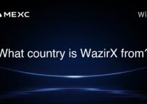 What country is WazirX from?