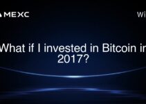 What if I invested in Bitcoin in 2017?