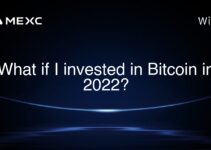What if I invested in Bitcoin in 2022?