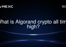 What is Algorand crypto all time high?