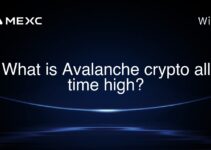 What is Avalanche crypto all time high?