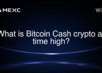What is Bitcoin Cash crypto all time high?