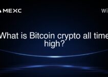 What is Bitcoin crypto all time high?