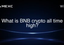 What is BNB crypto all time high?