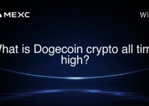 What is Dogecoin crypto all time high?