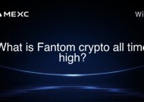 What is Fantom crypto all time high?