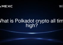 What is Polkadot crypto all time high?