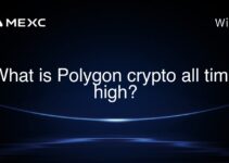 What is Polygon crypto all time high?