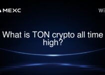 What is TON crypto all time high?