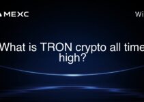 What is TRON crypto all time high?