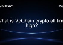 What is VeChain crypto all time high?
