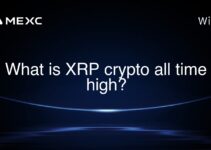 What is XRP crypto all time high?