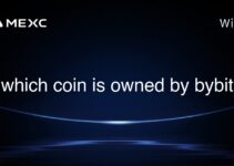 which coin is owned by bybit