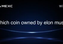 which coin owned by elon musk