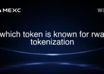 which token is known for rwa tokenization