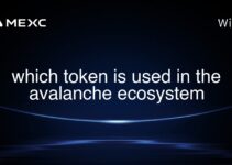 which token is used in the avalanche ecosystem