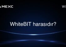 WhiteBIT harasıdır?