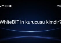 WhiteBIT’in kurucusu kimdir?