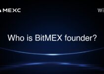 Who is BitMEX founder?