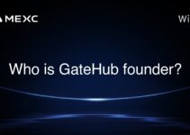Who is GateHub founder?
