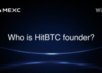Who is HitBTC founder?