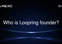 Who is Loopring founder?