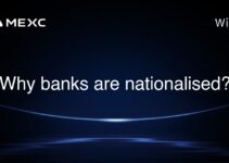 Why banks are nationalised?