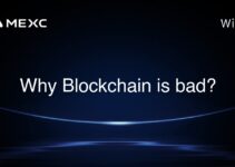 Why Blockchain is bad?