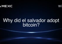 Why did el salvador adopt bitcoin?